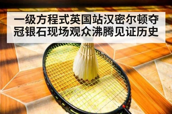 一级方程式英国站汉密尔顿夺冠银石现场观众沸腾见证历史