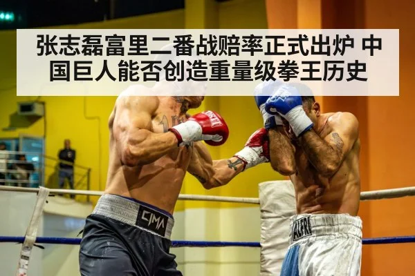 boxing heavyweight fight